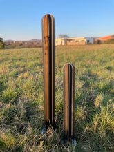 Charger l'image dans la galerie, Photo d'un cactus en métal